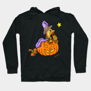 Baby Pumpkin Dinosaur Hoodie